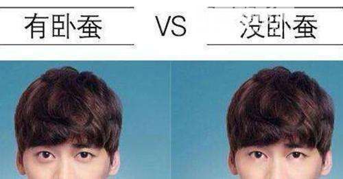 臥蠶的作用是什么 臥蠶怎么快速練出來