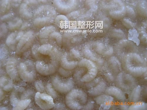 蜂王胎吃了有什么好處