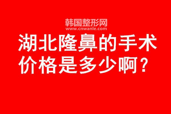湖北<a href='/tag_longbi149.html'>隆鼻</a>的手術價格是多少啊？