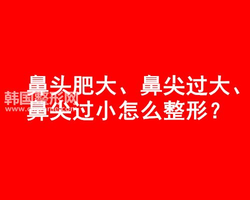 鼻頭肥大、鼻尖過大、鼻尖過小怎么整形？