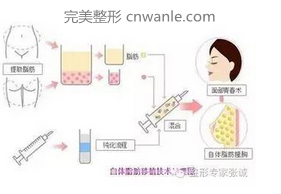 J0K完美整形-全國(guó)<a href='/tag_hanshizhengxingmei.html'>韓式整形美容</a>醫(yī)院在線咨詢平臺(tái)