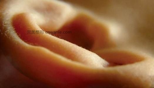 1歲內(nèi)的嬰兒應該怎么做隱<a href='/tag_erzhengxing.html'>耳整形</a>?