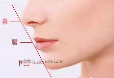 豐<a href='/tag_xiaba25.html'>下巴</a>用什么方法比較好