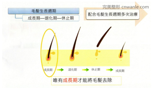 <a href='/tag_tuochunmao.html'>脫唇毛</a>