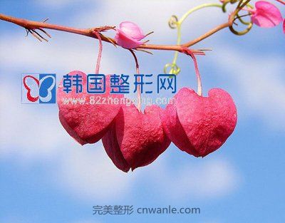 口角成型，美麗口角