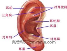 項(xiàng)目