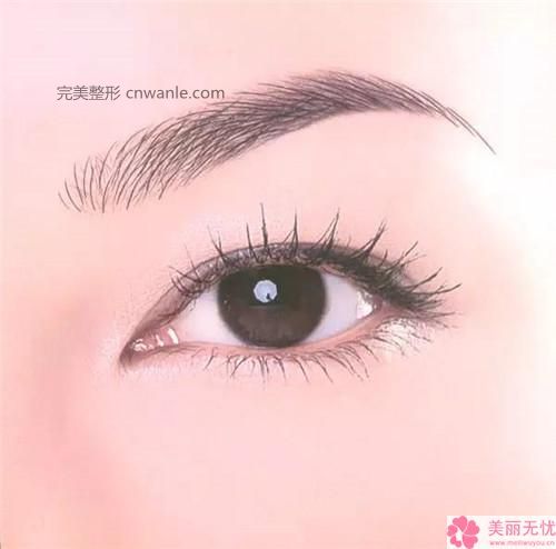 半永久紋發(fā)際線優(yōu)缺點及適合禁忌人群