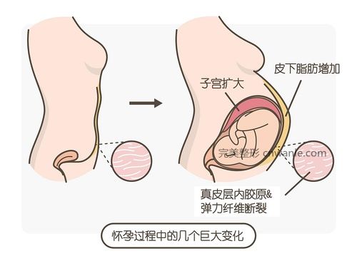 圖片源自網(wǎng)絡(luò)