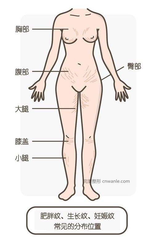 圖片源自網(wǎng)絡(luò)
